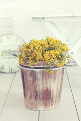 Similar image 6203472