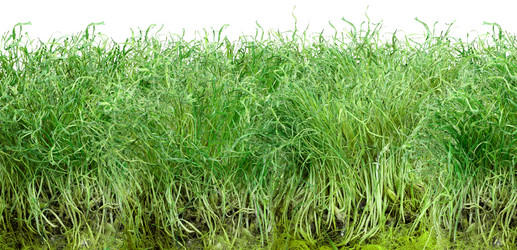 Similar image 6203483