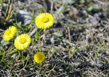 Similar image 6203539