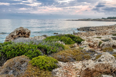 Similar image 6203588