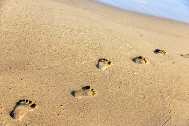 Similar image 6203622