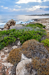 Similar image 6203629