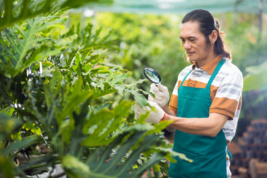 Similar image 6204287