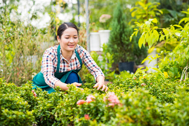 Similar image 6204288