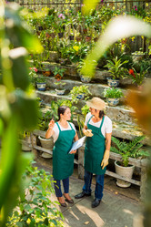 Similar image 6204301