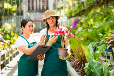 Similar image 6204310