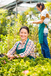 Similar image 6204311