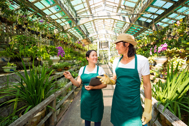 Similar image 6204472