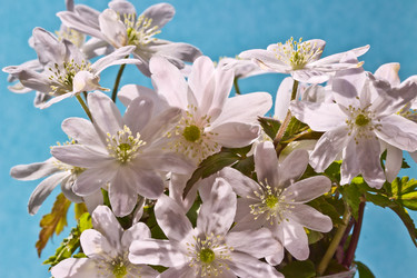 Similar image 6204719