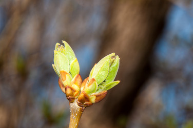 Similar image 6204823