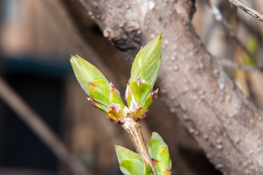 Similar image 6204824