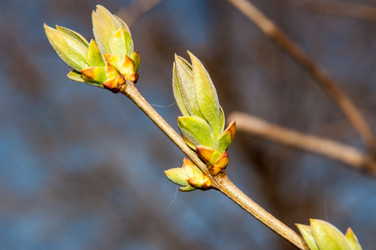 Similar image 6204825