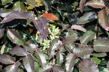 Similar image 6204833