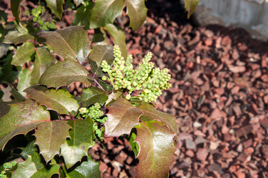 Similar image 6204834