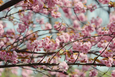 Similar image 6204836