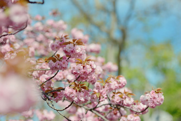 Similar image 6204838