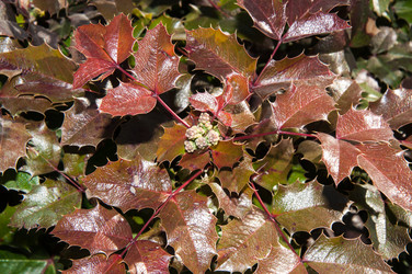 Similar image 6204846