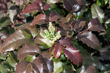 Similar image 6204849