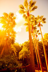 Similar image 6204850