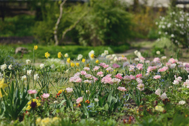 Similar image 6204873