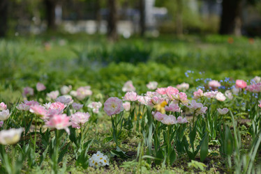 Similar image 6204879