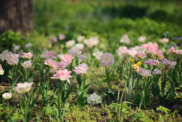 Similar image 6204880