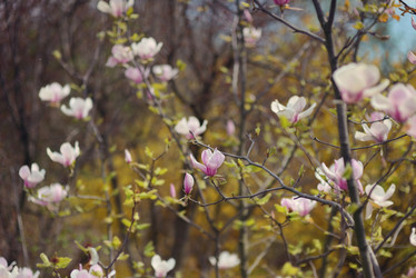 Similar image 6204881