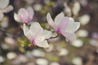 Similar image 6204882