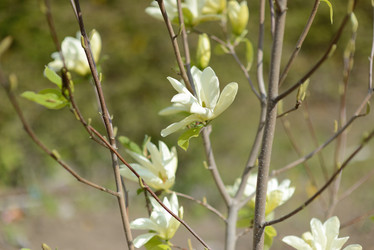 Similar image 6204883