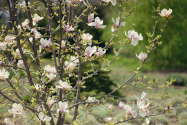 Similar image 6204884