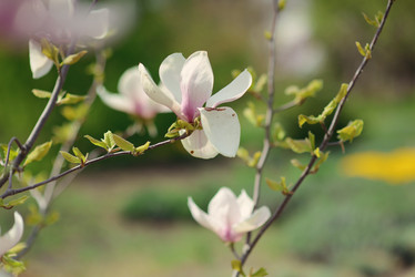 Similar image 6204885