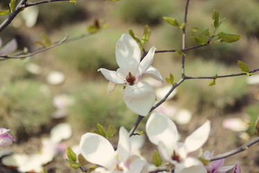 Similar image 6204886