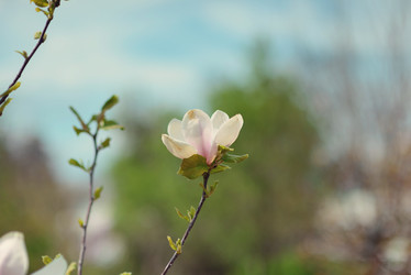 Similar image 6204887