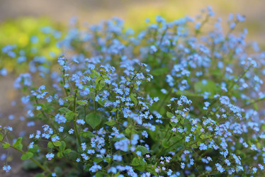 Similar image 6204888