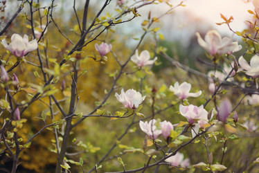 Similar image 6204889