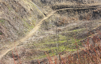 Similar image 6204991