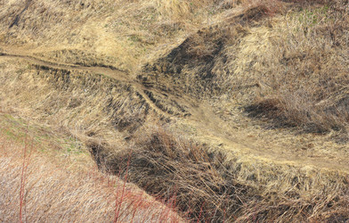 Similar image 6204992