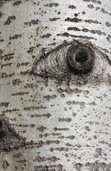 Similar image 6204993