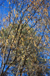 Similar image 6204995