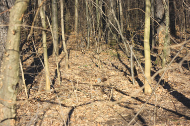 Similar image 6204996