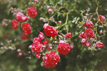 Similar image 6205002