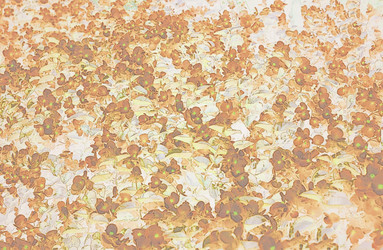 Similar image 6205012