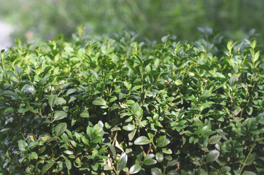 Similar image 6205013