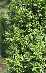 Similar image 6205014