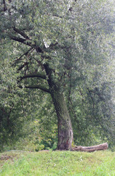 Similar image 6205015