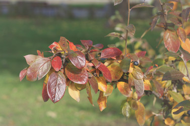 Similar image 6205017