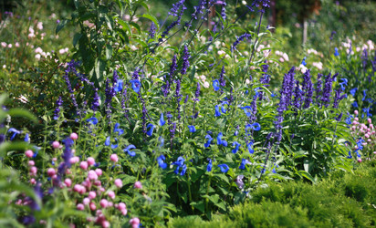 Similar image 6205019