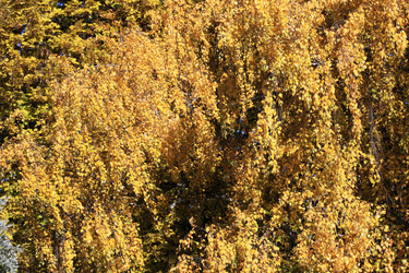 Similar image 6205034