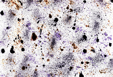 Similar image 6205082