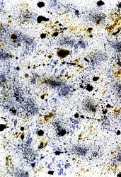 Similar image 6205085